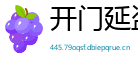 开门延盗网
